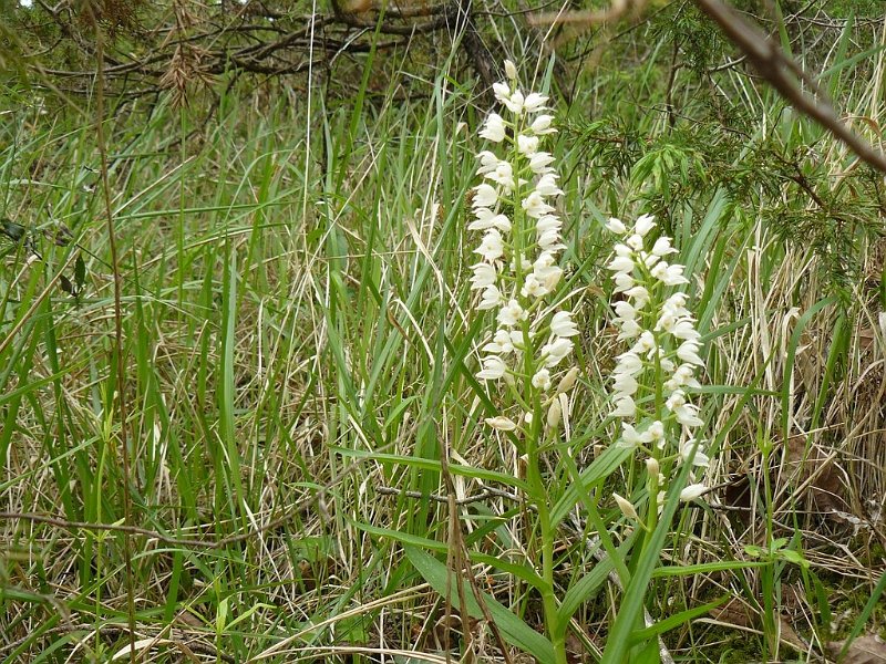 2008 05 Séjour à Martel 38